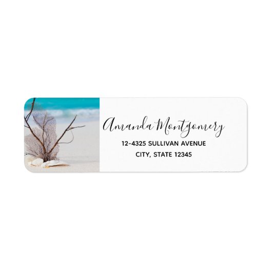 Weiße Muscheln an einem tropischen Strand (Vorne)