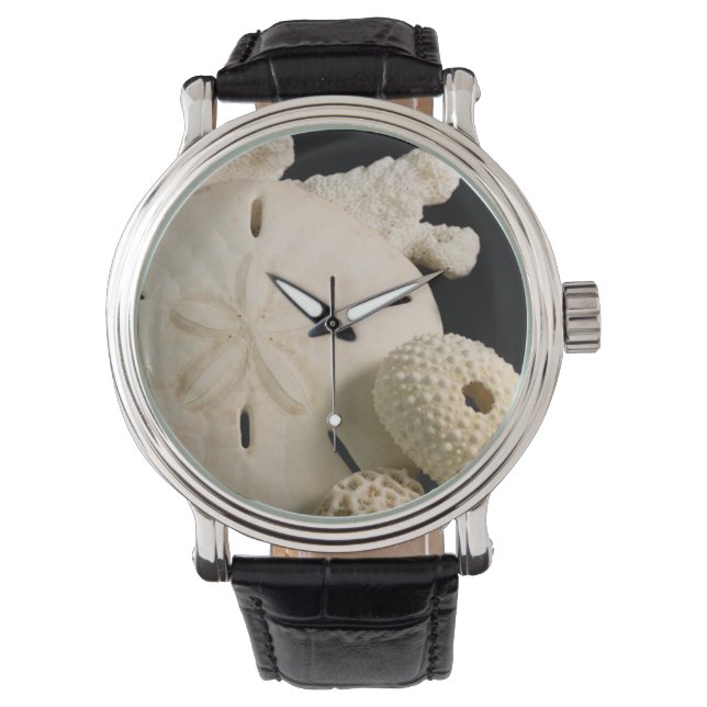 Weiße Muscheln und Sand Dollar Armbanduhr (Vorderseite)