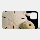 Weiße Muscheln und Sand Dollar Case-Mate iPhone Hülle (Rückseite (Horizontal))