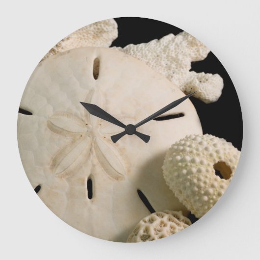 Weiße Muscheln und Sand Dollar Große Wanduhr (Vorderseite)