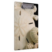 Weiße Muscheln und Sand Dollar Klemmbrett (Rechts)