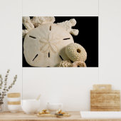 Weiße Muscheln und Sand Dollar Poster (Küche)