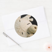 Weiße Muscheln und Sand Dollar Runder Aufkleber (Umschlag)