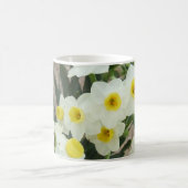 Weiße Narzissen-Blumen-Tasse Kaffeetasse (Mittel)