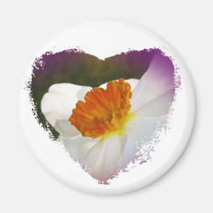 Weiße Narzissen Blumenkoordinierte Objekte Magnet