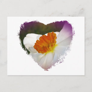 Weiße Narzissen Blumenkoordinierte Objekte Postkarte