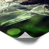 Weiße Nasenfäule Nah Poster (Ecke)