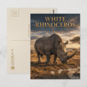 Weiße Nashorn-Savanne-TIERE Postkarte (Vorne/Hinten)