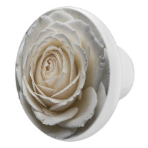 Weiße nasse Rose nahes Design