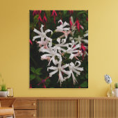 Weiße Nerine-Blumen Leinwanddruck (Insitu (Wohnzimmer))