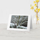 Weiße Niederlassungen Karte (Gelbe Blume)