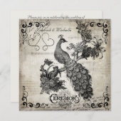 Weiße Noten Pfau Hochzeit Einladung (Vorne/Hinten)