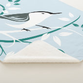Weiße Nuthatsch Sherpadecke (3/4)