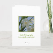 Weiße Oleander-Blume Karte (Rückseite)