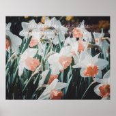 Weiße Orangendärme im Frühlingsgarten Poster (Vorne)