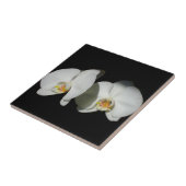 Weiße orchide, tropische weiße Blume Fliese (Seite)