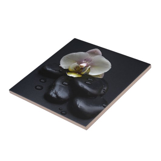 Weiße Orchidee auf schwarzen Steinen Fliese (Seite)