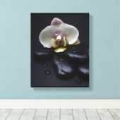 Weiße Orchidee auf schwarzen Steinen Leinwanddruck (Insitu (Holzboden))
