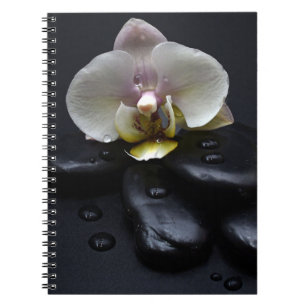 Weiße Orchidee auf schwarzen Steinen Notizblock