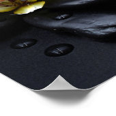 Weiße Orchidee auf schwarzen Steinen Poster (Ecke)