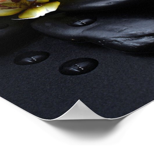 Weiße Orchidee auf schwarzen Steinen Poster (Ecke)