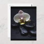 Weiße Orchidee auf schwarzen Steinen Postkarte (Vorne/Hinten)