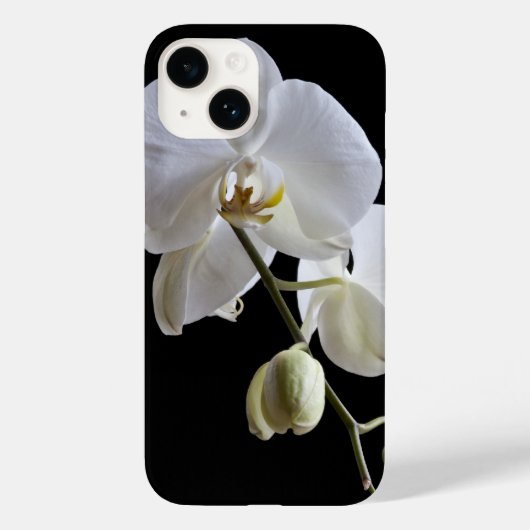 Weiße Orchidee-Blume Case-Mate iPhone Hülle (Rückseite)
