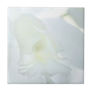 Weiße Orchidee Fliese