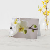 Weiße Orchidee • Gruß-Karte Karte (Gelbe Blume)