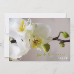 Weiße Orchidee • Hochzeits-Einladung Einladung