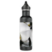 Weiße Orchidee im Pool Wasserflasche Edelstahlflasche (Rechts)