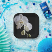 Weiße Orchidee in Schwarz Pappteller (Party)