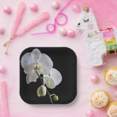 Weiße Orchidee in Schwarz Pappteller (Party)