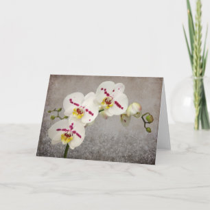 Weiße Orchidee Karte