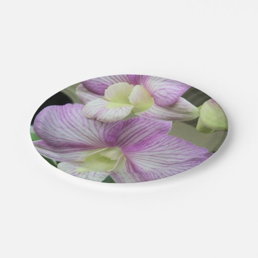 Weiße Orchidee mit lila Papiertafel Pappteller (Schrägansicht)