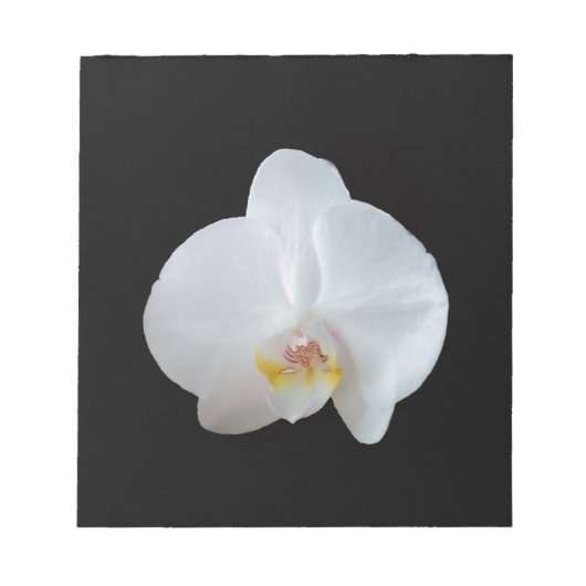 Weiße Orchidee mit schwarzem Hintergrund Notizblock (Vorderseite)