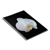 Weiße Orchidee mit schwarzem Hintergrund Notizblock (Rechte Seite)