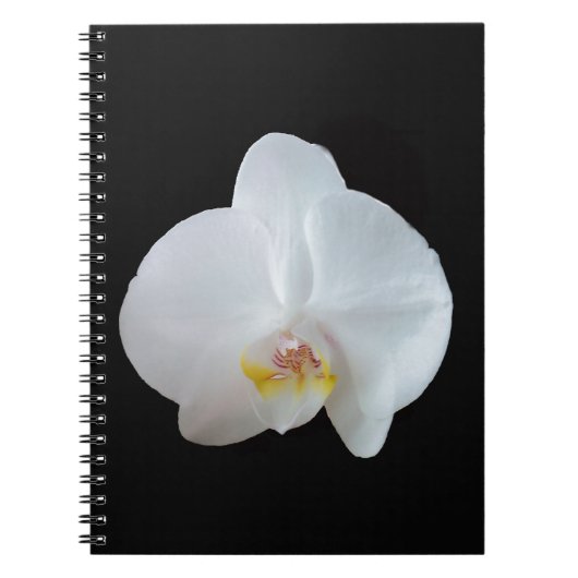 Weiße Orchidee mit schwarzem Hintergrund Notizblock (Vorderseite)