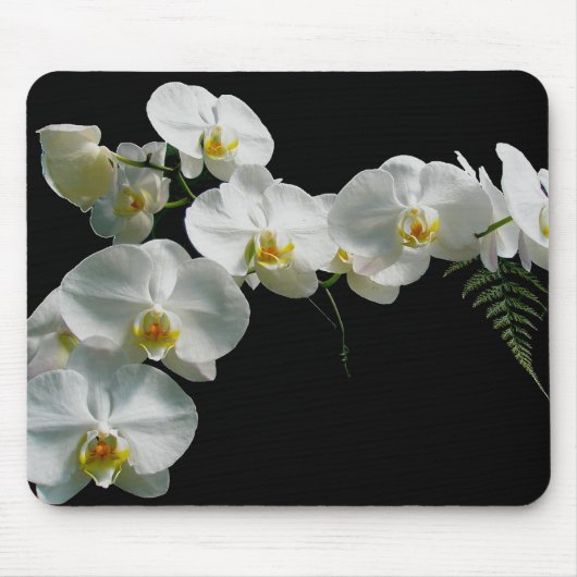 Weiße Orchidee Mousepad (Vorne)