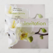 Weiße Orchidee Party Einladung Postkarte (Vorne/Hinten)