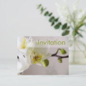 Weiße Orchidee Party Einladung Postkarte (Stehend Vorderseite)