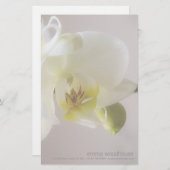 Weiße Orchidee • Persönliches Briefpapier (Vorne/Hinten)