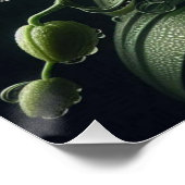 Weiße Orchidee Poster (Ecke)