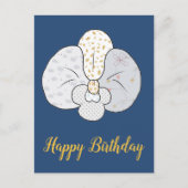 Weiße Orchidee Postkarte (Vorderseite)