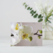 Weiße Orchidee Postkarte (Stehend Vorderseite)