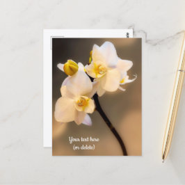 Weiße Orchidee Postkarte