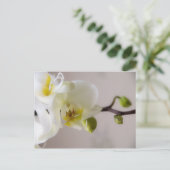 Weiße Orchidee Postkarte (Stehend Vorderseite)