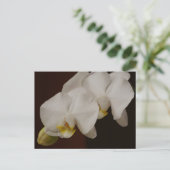 Weiße Orchidee Postkarte (Stehend Vorderseite)
