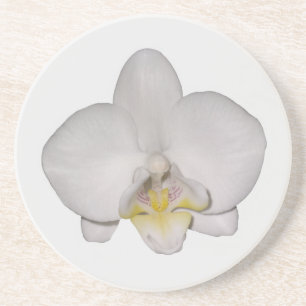 Weiße Orchidee Sandstein Untersetzer