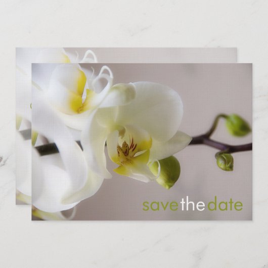 Weiße Orchidee ・ Save the Date Karte (Vorne/Hinten)